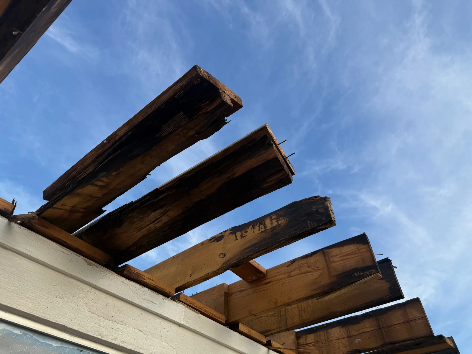 The old roof structure opened up during teardown, its timber beams framed against a clear blue sky.